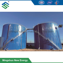 Anaerobic Tank Digester for Biogas Plant Palm Oil Mill